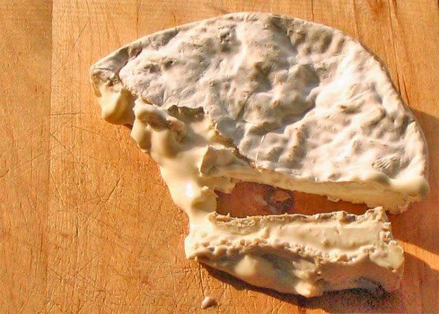 Camembert with The Mad Fermentationist - New England Cheesemaking Supply Company
