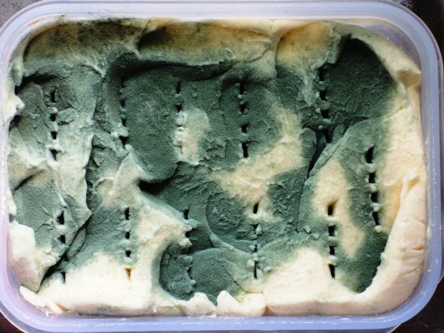 Experimenters - Be Careful! - New England Cheesemaking Supply Company