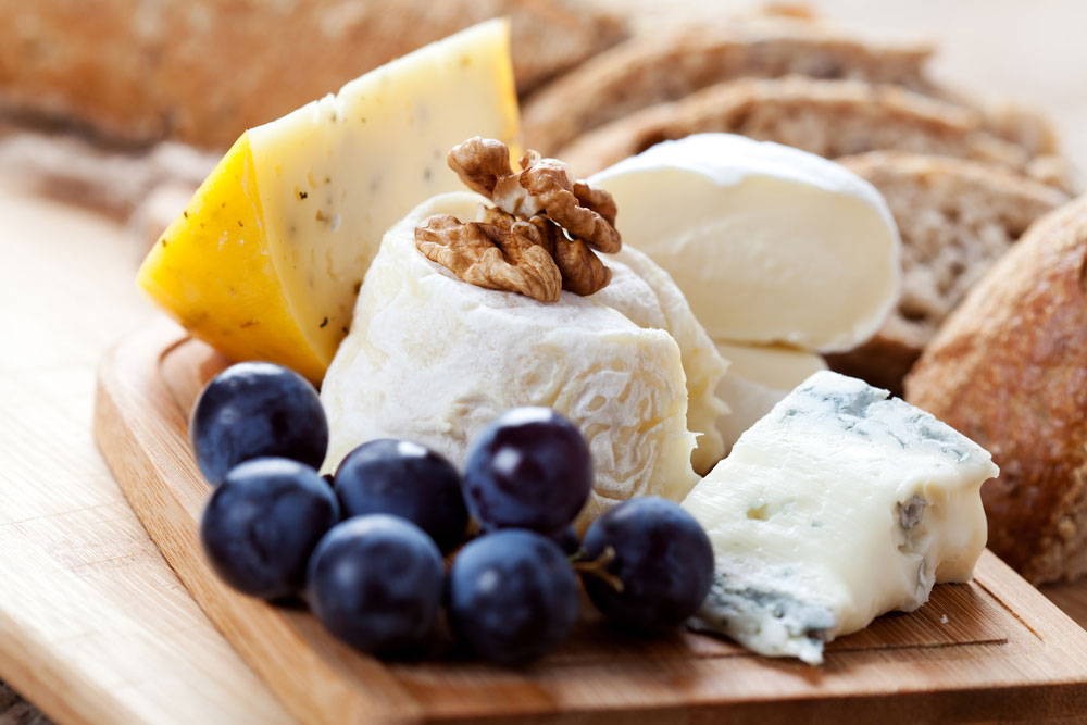 Beginner Cheese Maker FAQ