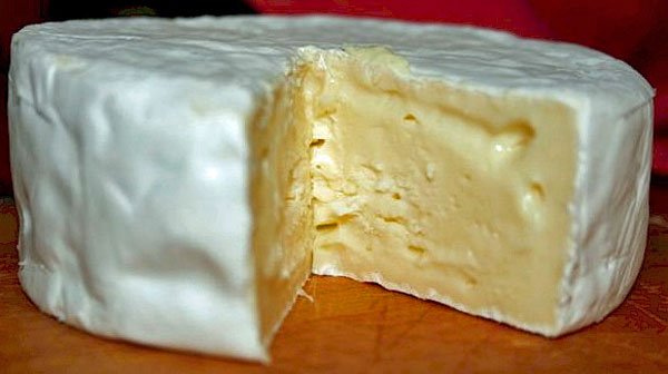 Making Camembert for Beginners-Part 4/Recipe Variations - New England Cheesemaking Supply Company