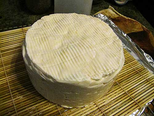 Munster Anyone? Suzanne McMinn Did it Again! - New England Cheesemaking Supply Company
