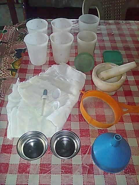 Philippines - Part 1: Making Rennet - New England Cheesemaking Supply Company