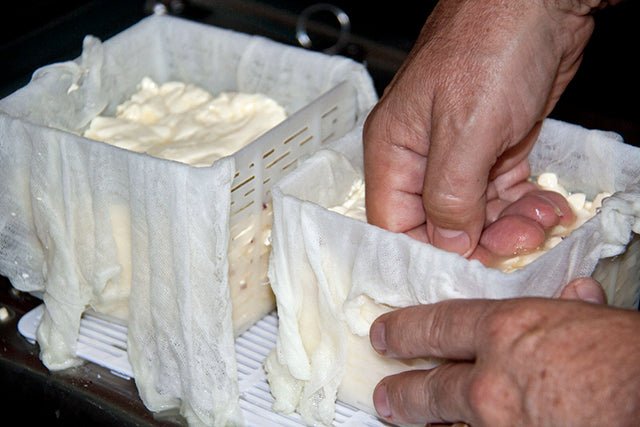 Purple Onion Feta with Andy Cumberland - New England Cheesemaking Supply Company