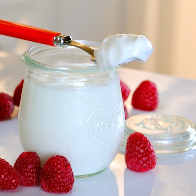 Skyr with Jules and Ruby - New England Cheesemaking Supply Company