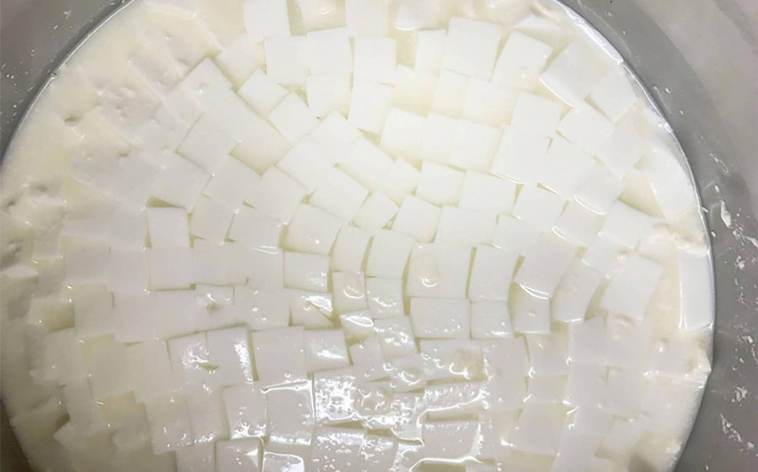 Rennet for cheese making, showing fresh curds cut into small squares, showcasing the coagulation process in cheese making with rennet.