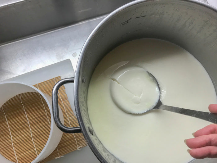 Brie Cheese Making Recipe – Transfer Curd to Molds