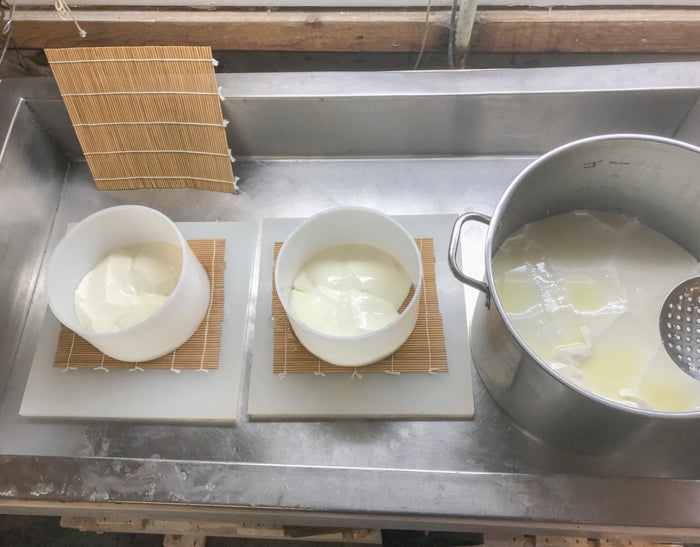 Brie Cheese Making Recipe – Transfer Curd to Molds