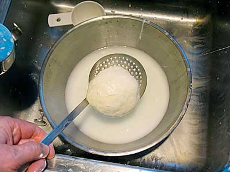 30 Minute Mozzarella Recipe – Knead & Stretch Curd