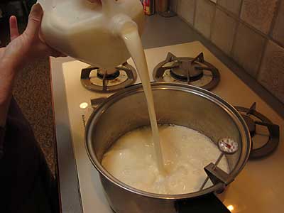 30 Minute Mozzarella Recipe – Mix Citric Acid & Milk