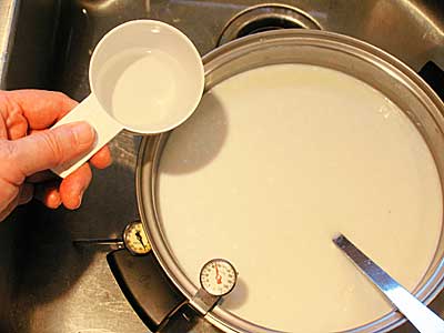 30 Minute Mozzarella Recipe – Add Rennet