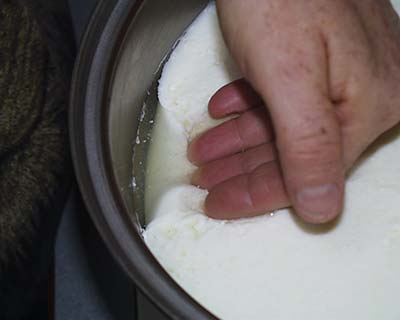 30 Minute Mozzarella Recipe – Add Rennet