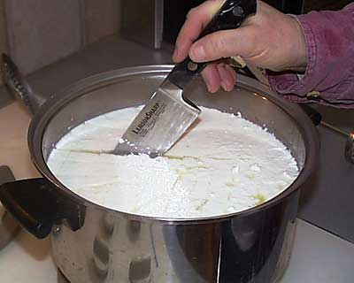30 Minute Mozzarella Recipe – Cut & Cook Curd