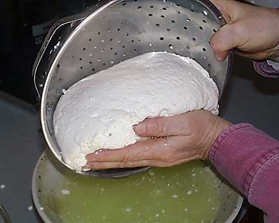 30 Minute Mozzarella Recipe – Transfer & Drain Curd
