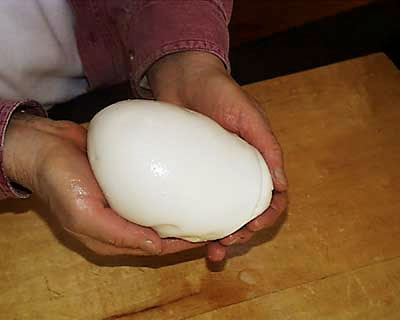 30 Minute Mozzarella Recipe – Eat & Enjoy