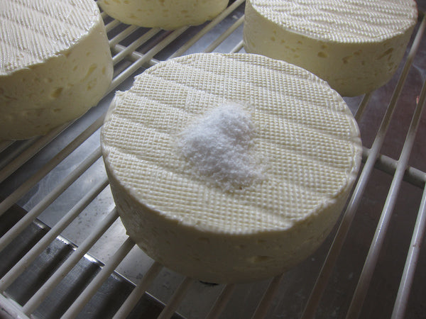 Brie Cheese Making Recipe – Salting