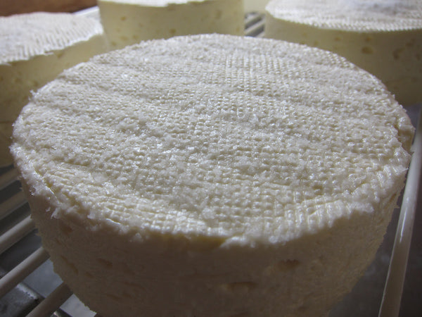 Brie Cheese Making Recipe – Salting