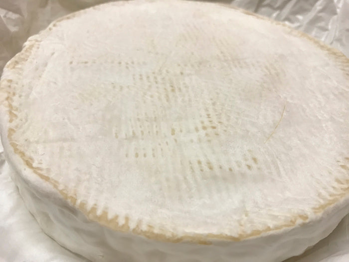 Brie Cheese Making Recipe – Aging