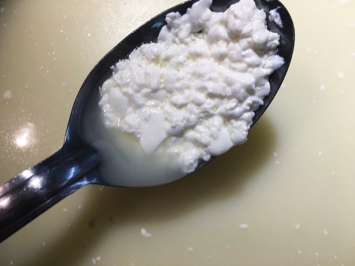 Alpine Style Cheese Making Recipe – Cook Curd & Remove Whey