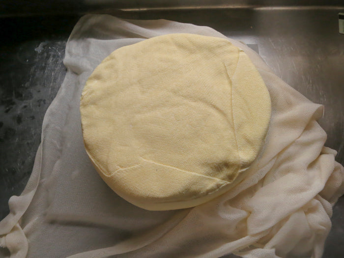 Alpine Style Cheese Making Recipe – Forming & Pressing