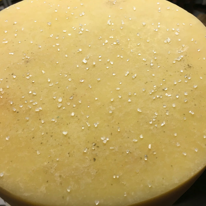 Alpine Style Cheese Making Recipe – Salting & Aging