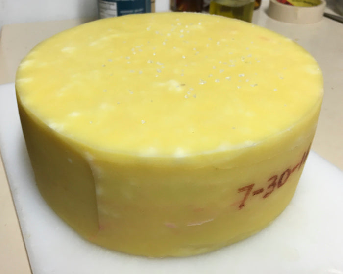 Alpine Style Cheese Making Recipe – Salting & Aging