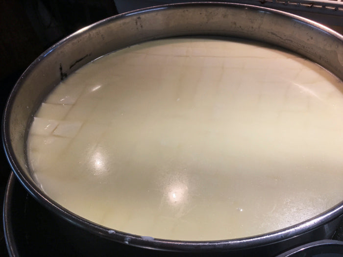 Alpine Style Cheese Making Recipe – Cut Curd & Release Whey