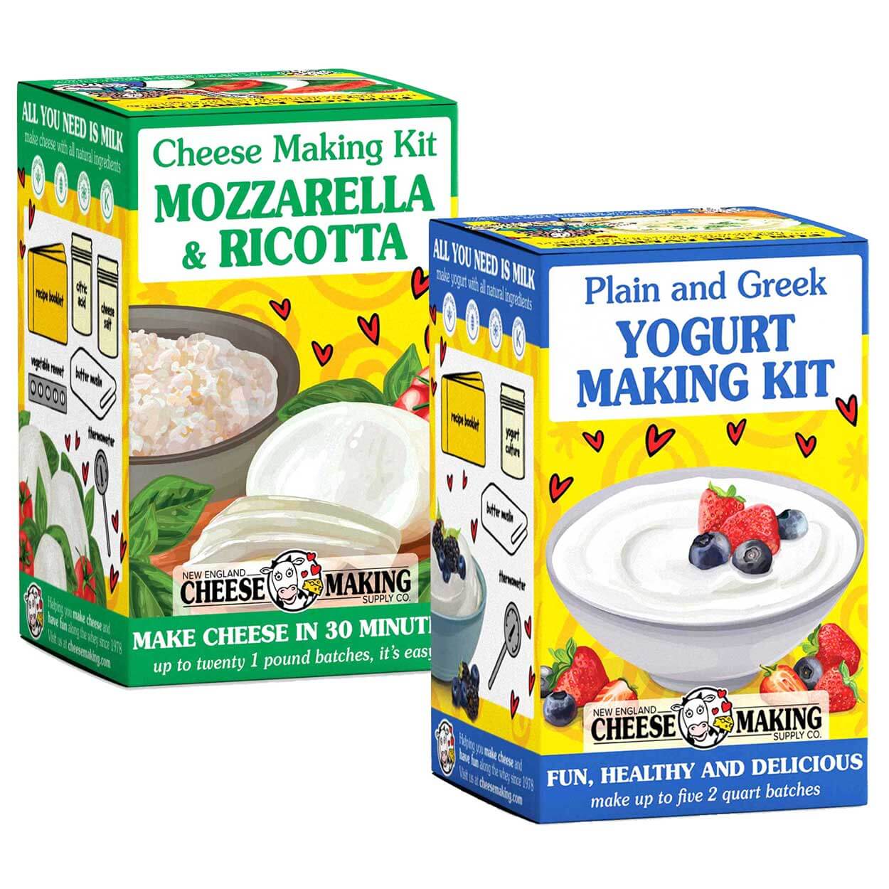 DIY Mozzarella and Yogurt Making Kits for fresh homemade dairy, perfect for beginners and food enthusiasts.