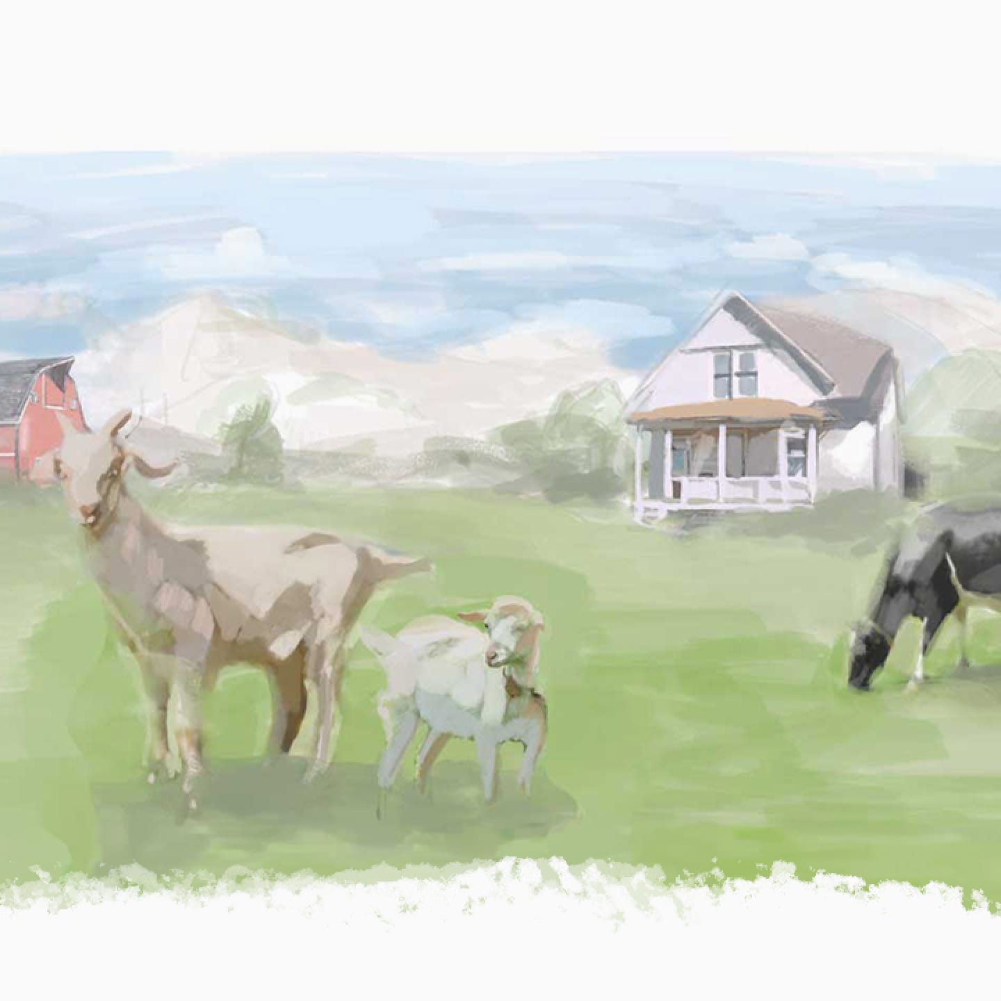 Image 1 for promotional collection