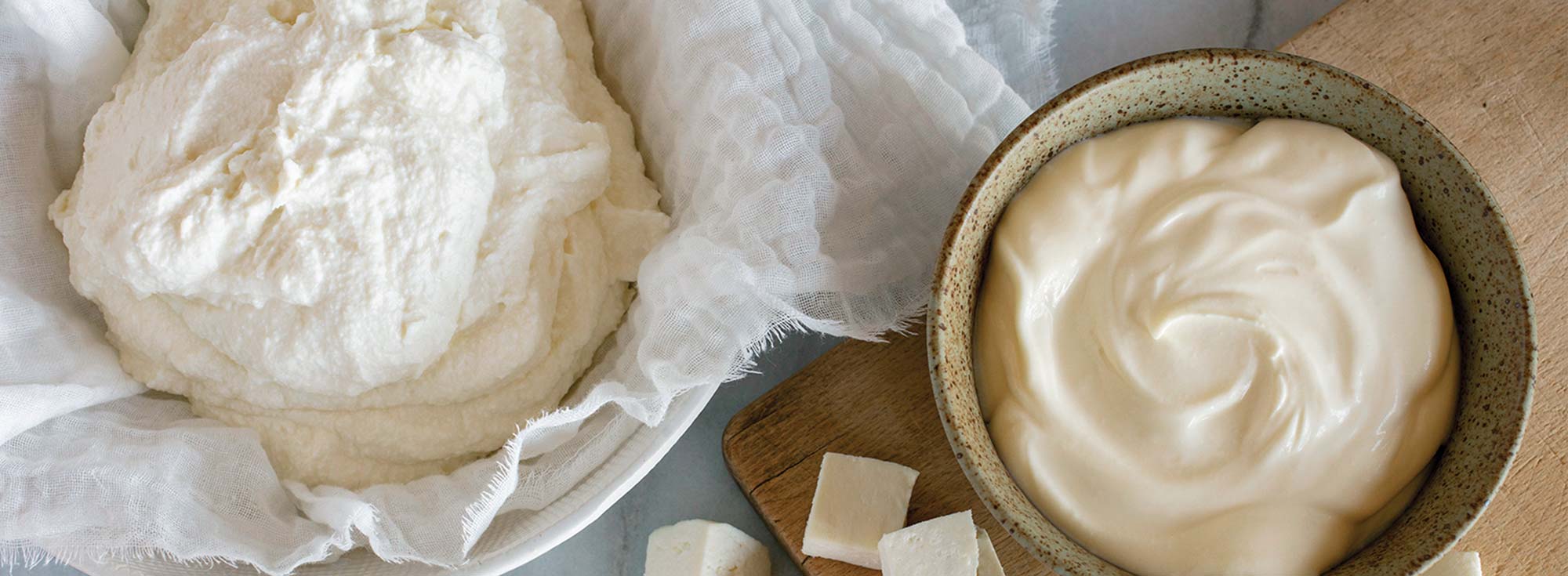 Updated beginner cheese-making kit