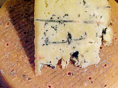 Gorgonzola Picante Cheese Making Recipe