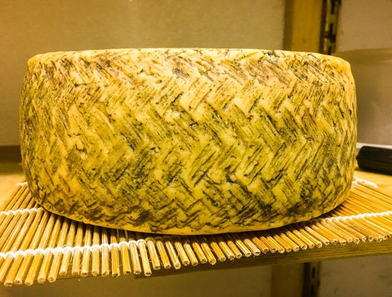 Cheese Making Workshop - Successful Aging - New England Cheesemaking Supply Company