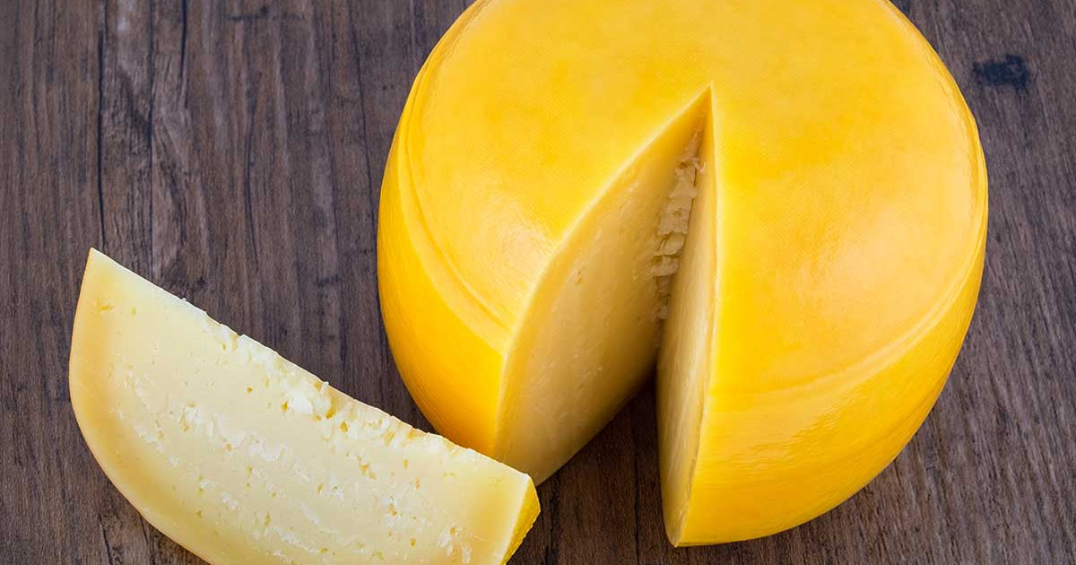 Gouda Cheese Making Recipe (Sweet)
