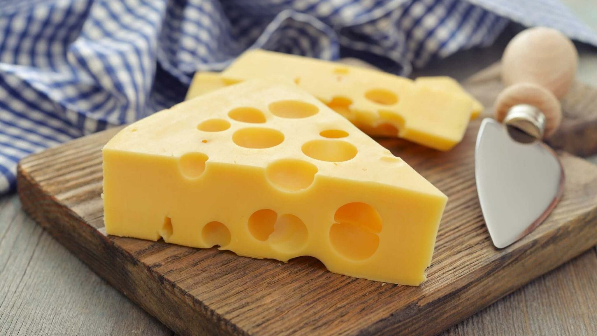Maasdam Cheese Making Recipe - New England Cheesemaking Supply Company