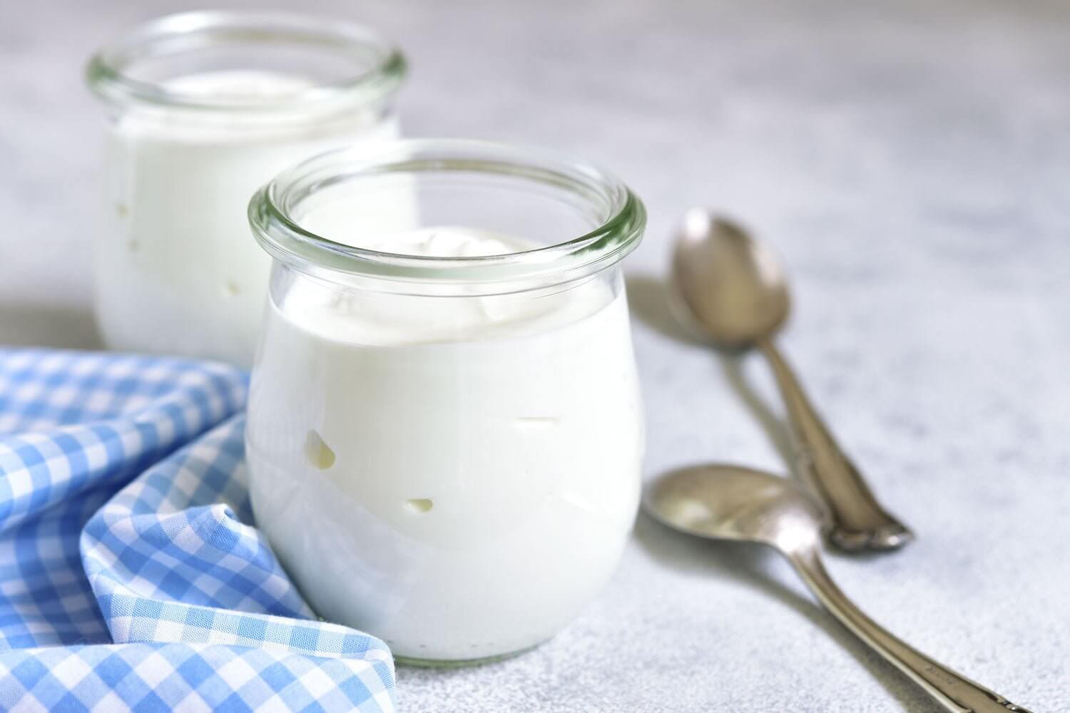 Yogurt Recipe - New England Cheesemaking Supply Company