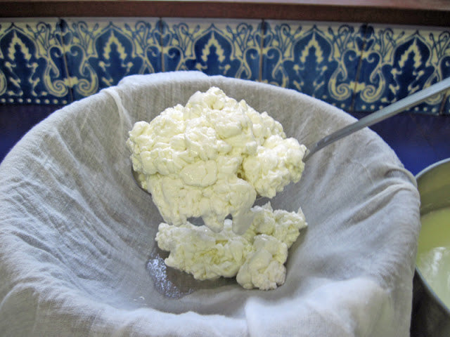 Goat's Milk Cottage Cheese