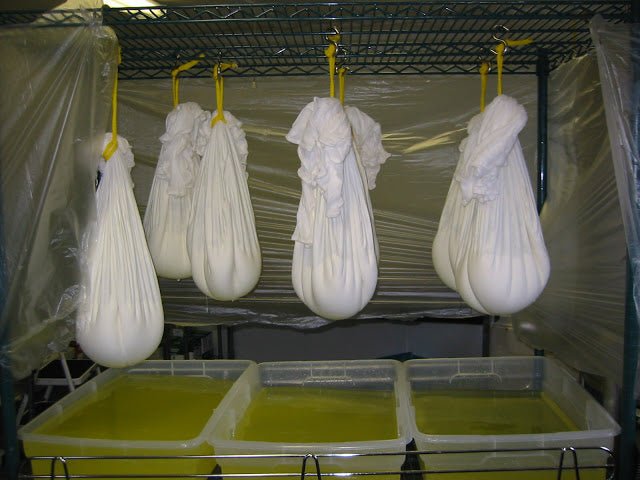 101 Ways to Drain Your Cheese! - New England Cheesemaking Supply Company