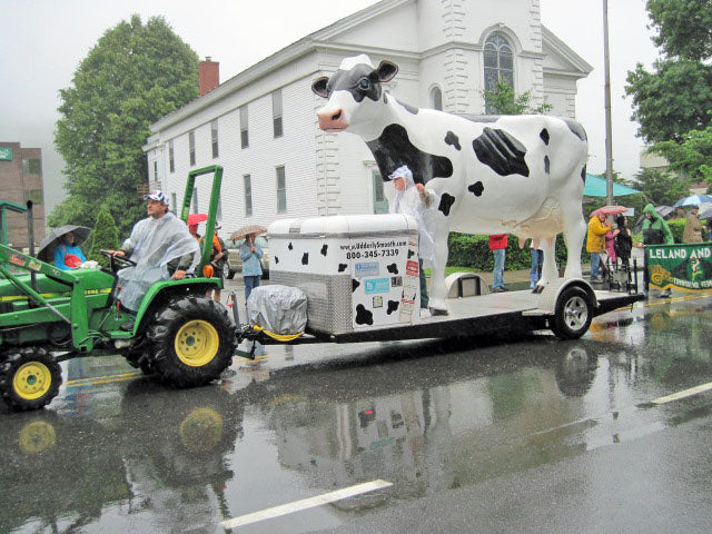 Strolling of the Heifers in Brattleboro, Vermont