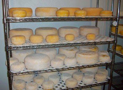 3 Day Workshop Coming to Texas, March 11-13 - New England Cheesemaking Supply Company