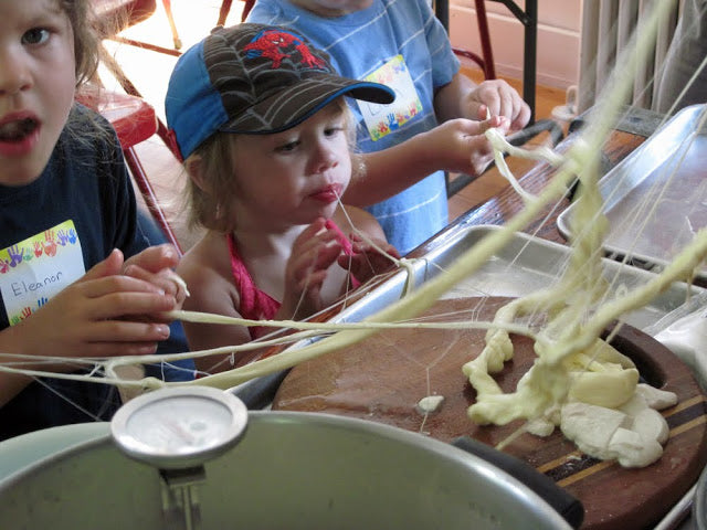 Teaching Preschoolers How Cheese is Made