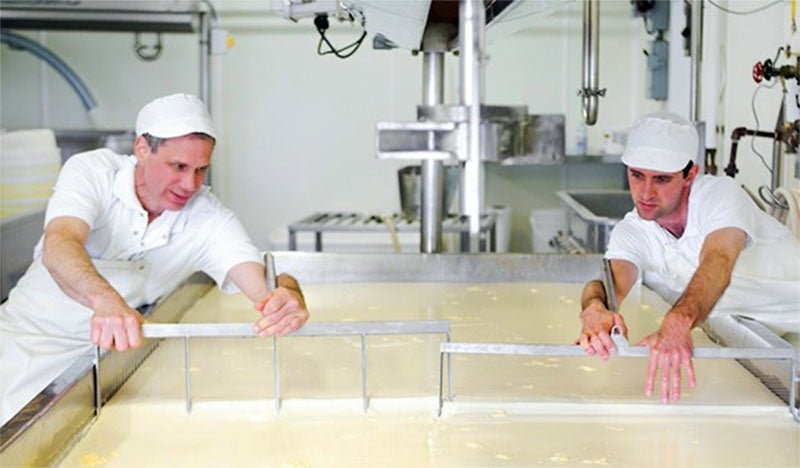 4 Experts Share Their Best Tips for Making Cheese - New England Cheesemaking Supply Company