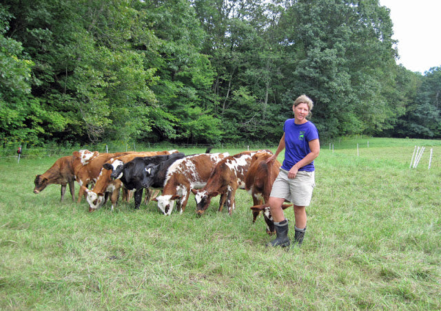 A Tour of SideHill Farm in Ashfield, MA