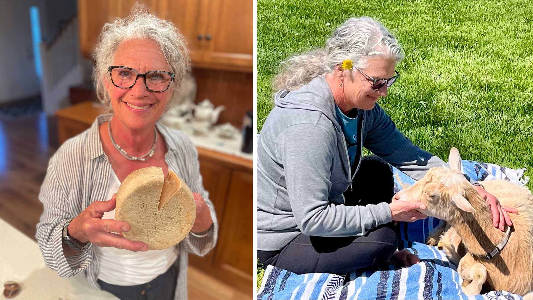 Curds, Goats & Gratitude: Life on Bluebird Meadow Farm