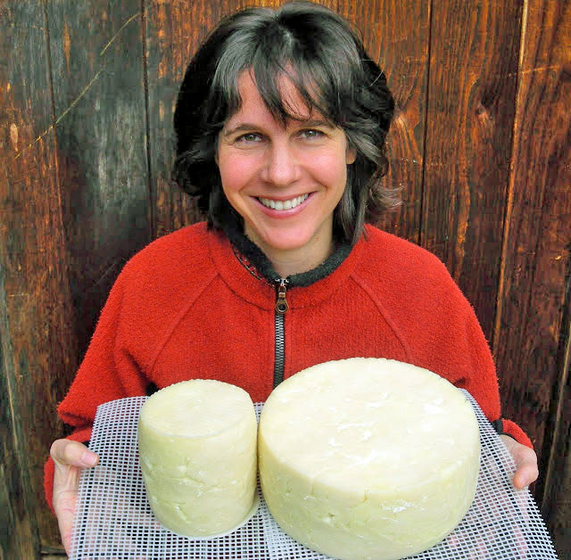 Gouda Goat Cheese Recipe from Marblemount Homestead