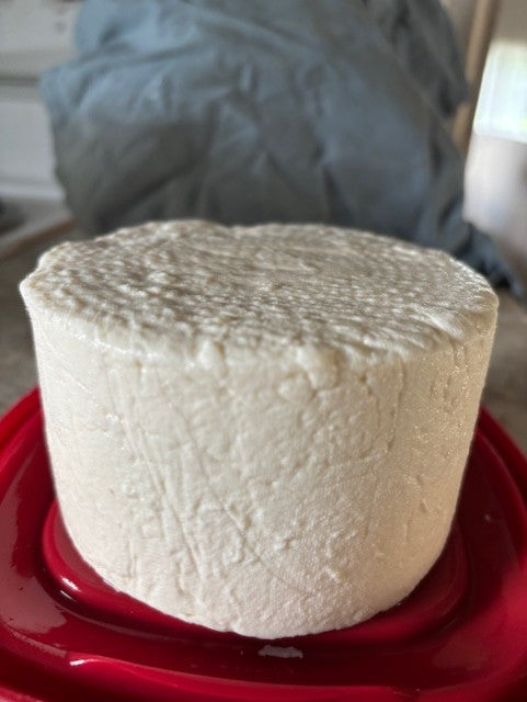 Feta Cheese Maker Recipe | How To Make Feta Cheese – JHIMHN