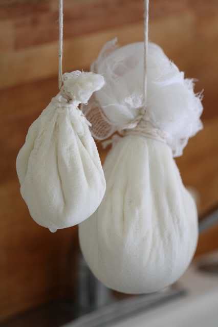 Making Chevre, Freezing It and Using it in Recipes