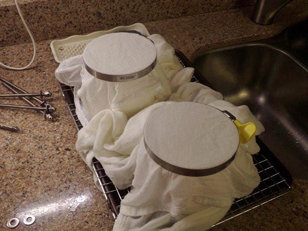 An Easy Way to Flip Camembert by Bob Albers - New England Cheesemaking Supply Company