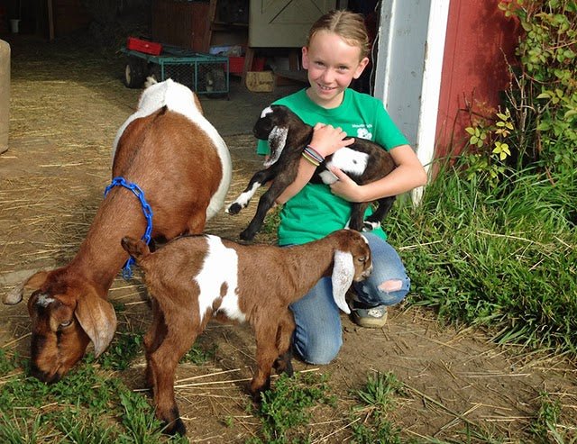 Anna Ford in Longmont, Colorado - New England Cheesemaking Supply Company