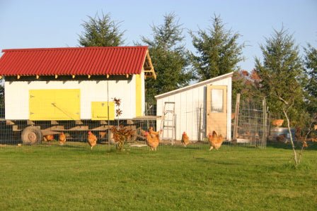 Caroline Abbott Revisited - New England Cheesemaking Supply Company