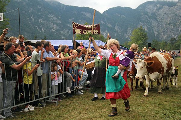 Cheese Festival &amp; Cows' Ball in Slovenia - New England Cheesemaking Supply Company