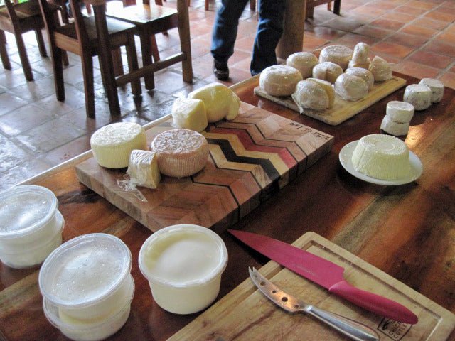 Cheese Making Adventure in Belize - Part 2 of 4 - New England Cheesemaking Supply Company